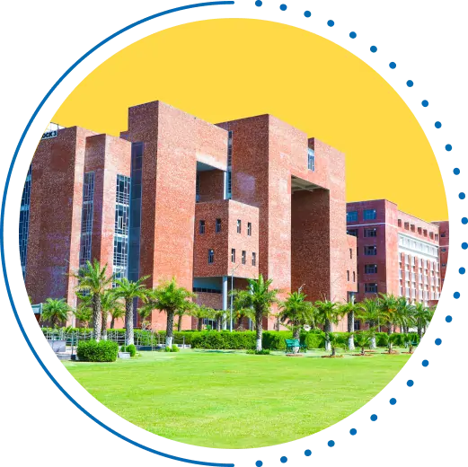 program-offered-picture