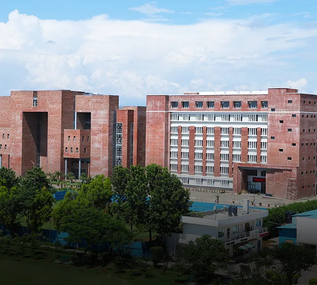 Green Panther - The Nature Club