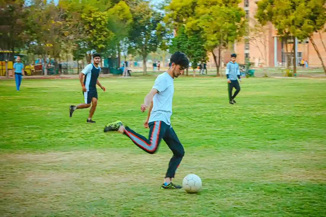 College Life Festivals