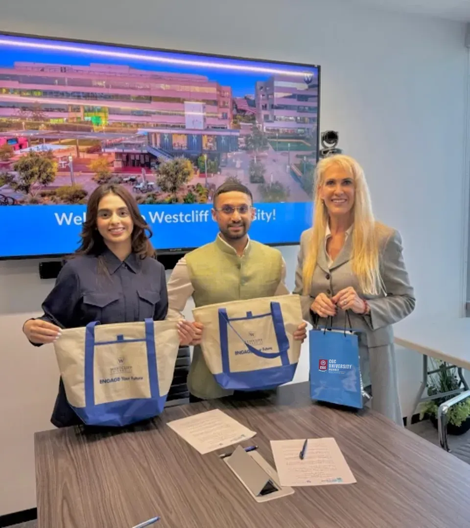 international collaboration