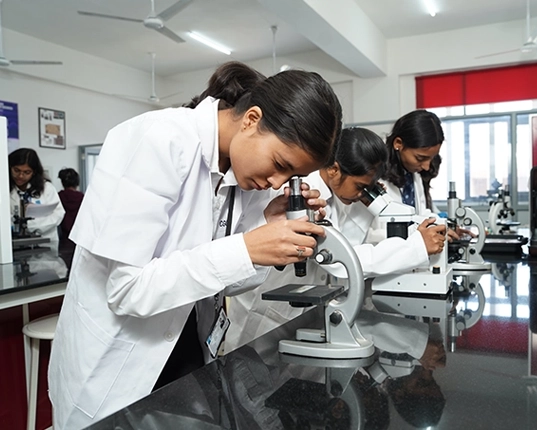 Championing Holistic Education