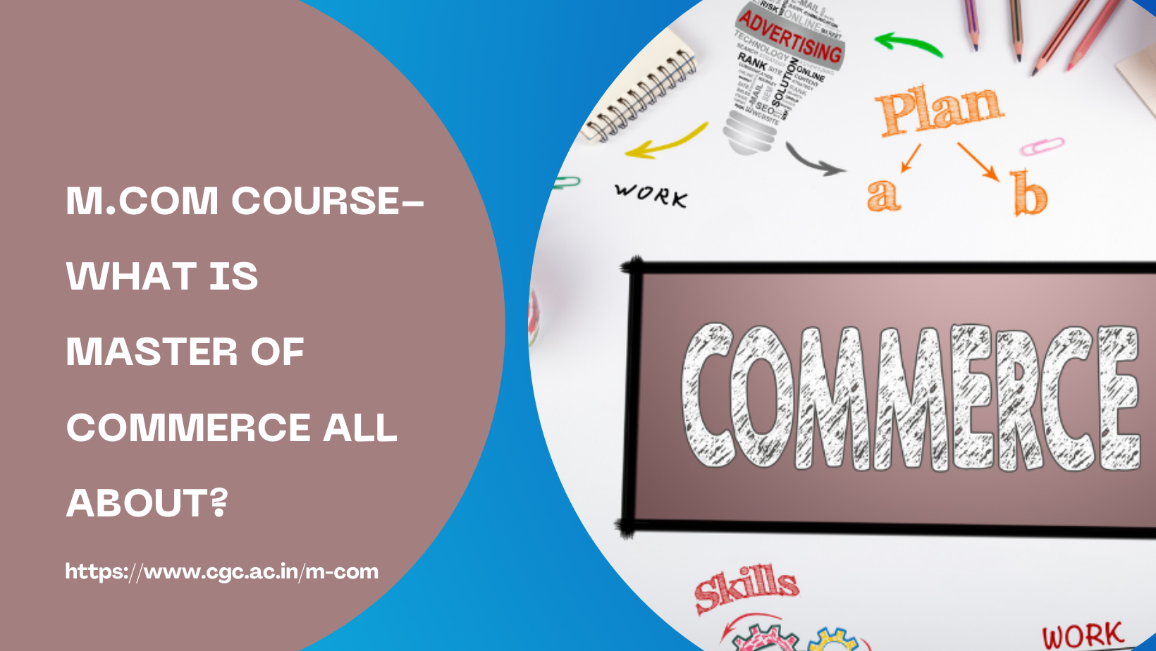 Top Master of Commerce Program In Punjab