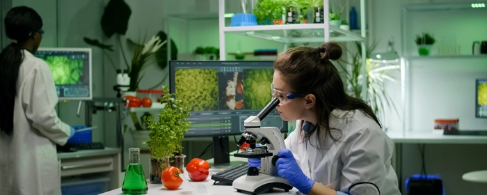 Engineering Program CE