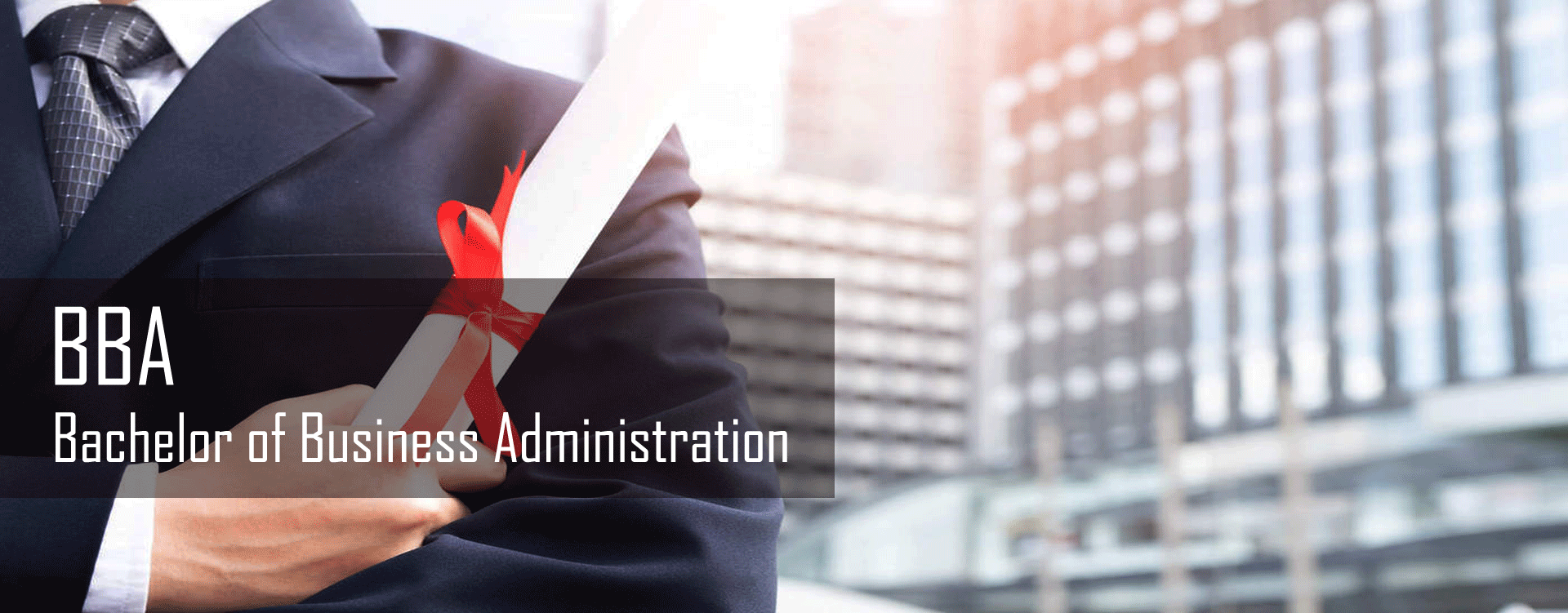 bachelor's degree in business