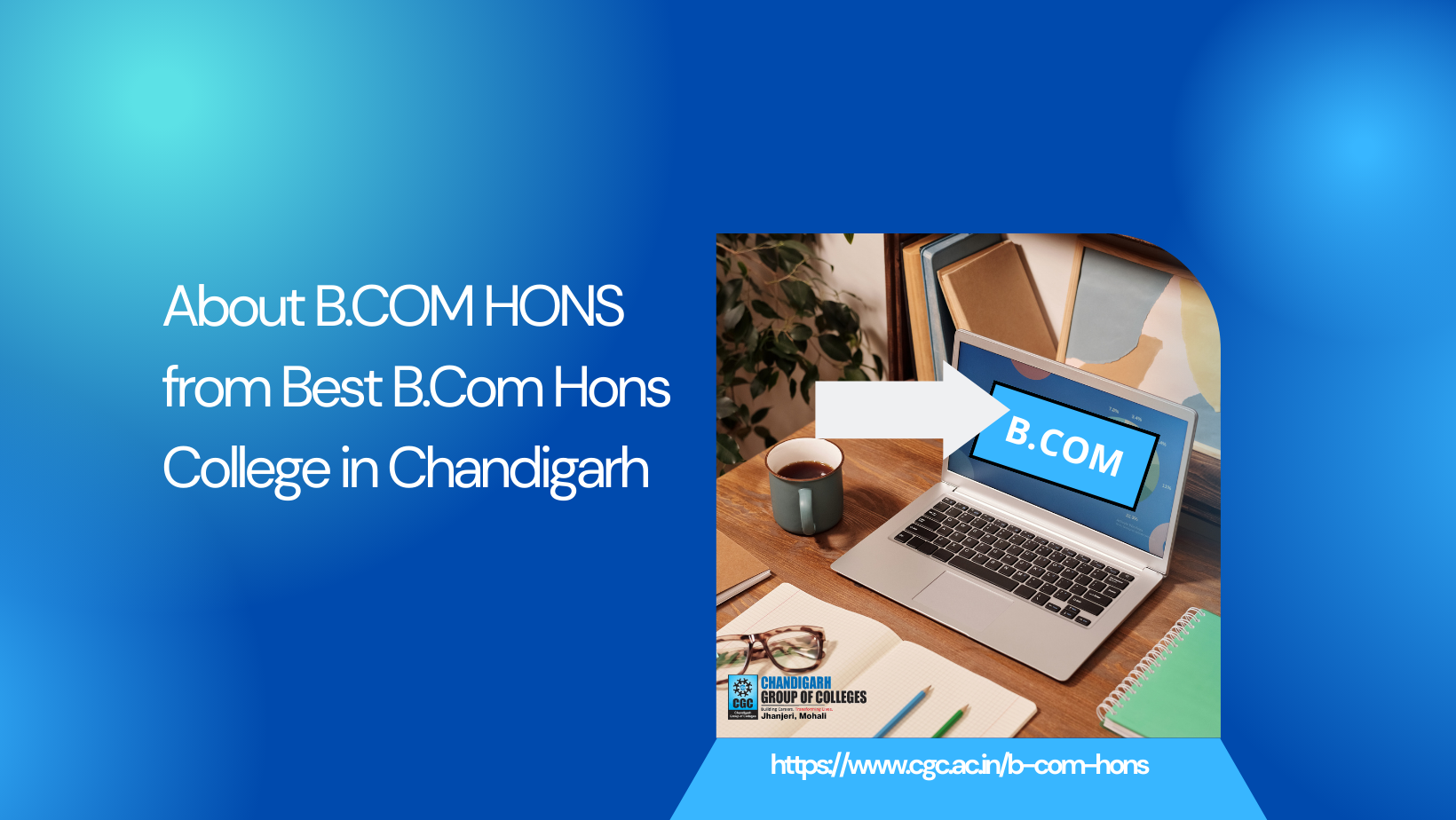 About B.COM HONS from Best B.Com Hons College in Chandigarh