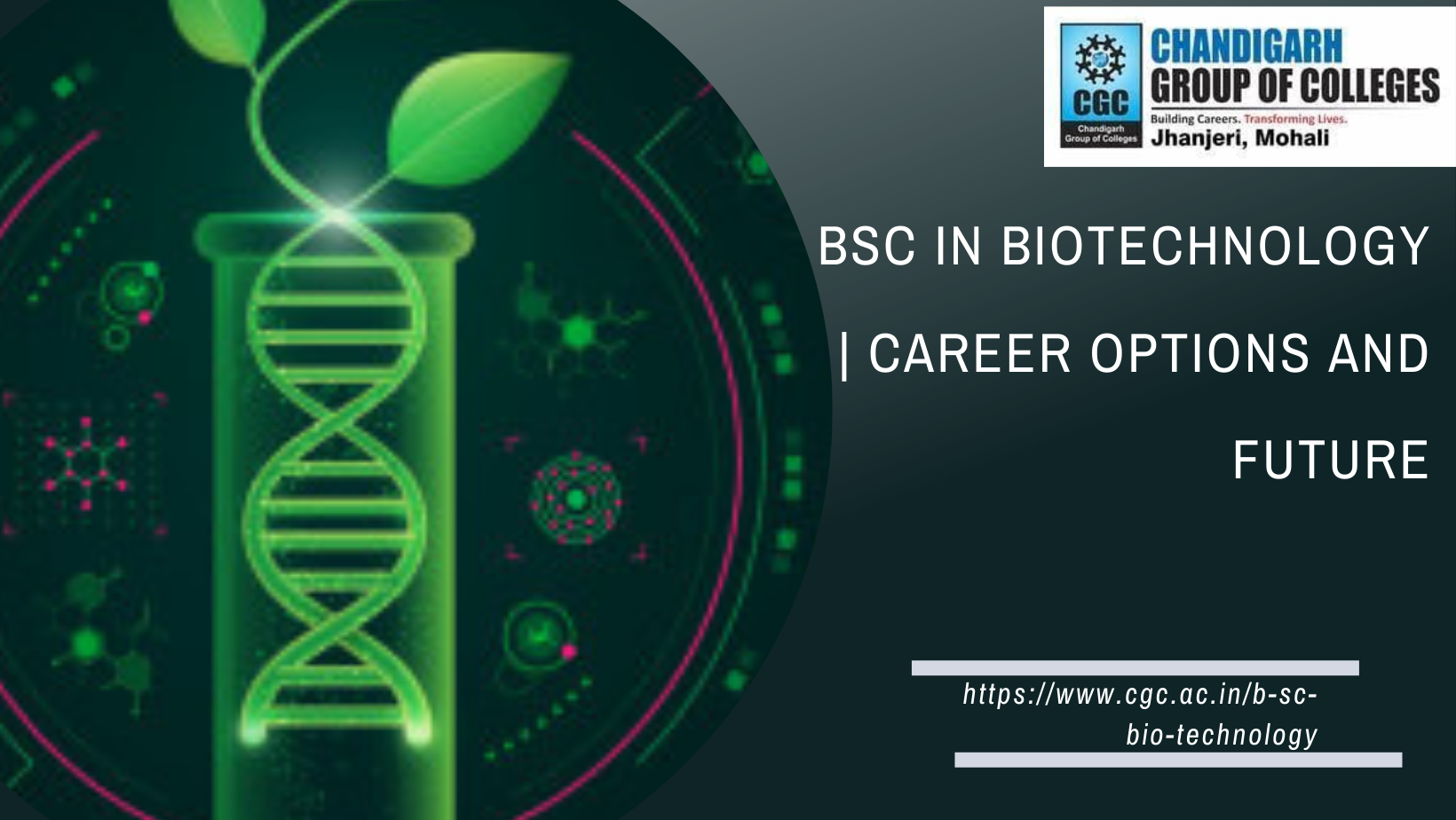 BSc in Biotechnology | Career Options and Future