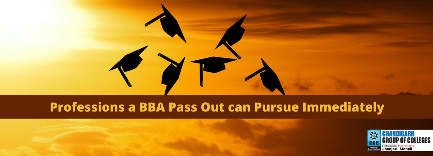 Professions a BBA Pass Out can Pursue Immediately