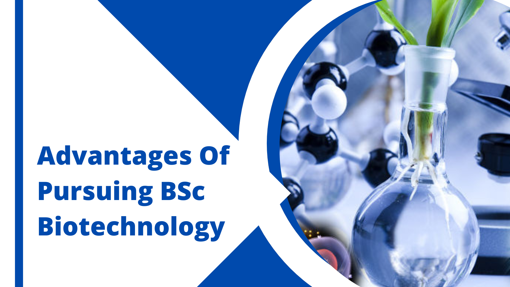 Advantages Of Pursuing BSc Biotechnology