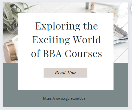 Exploring the Exciting World of BBA Courses