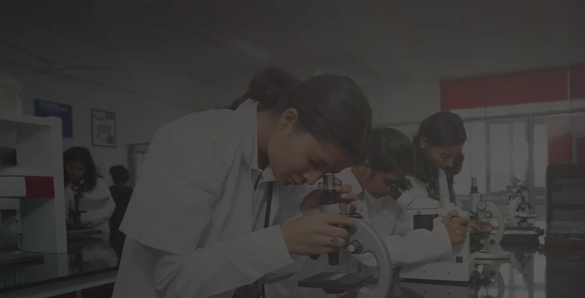 Diploma in Pharmacy Banner Image