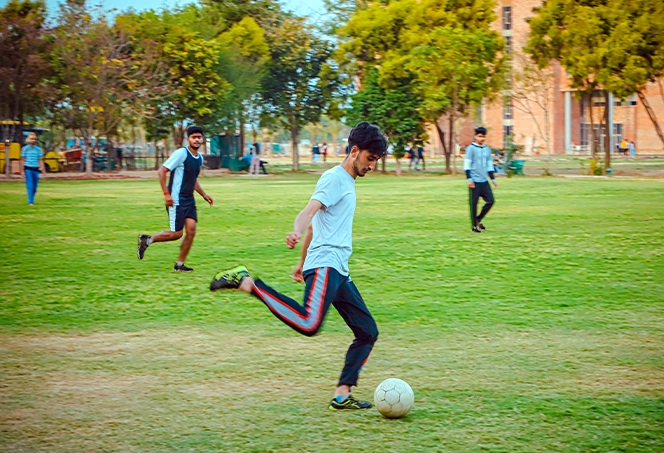 Physical Education and Sports Sciences Scope Image