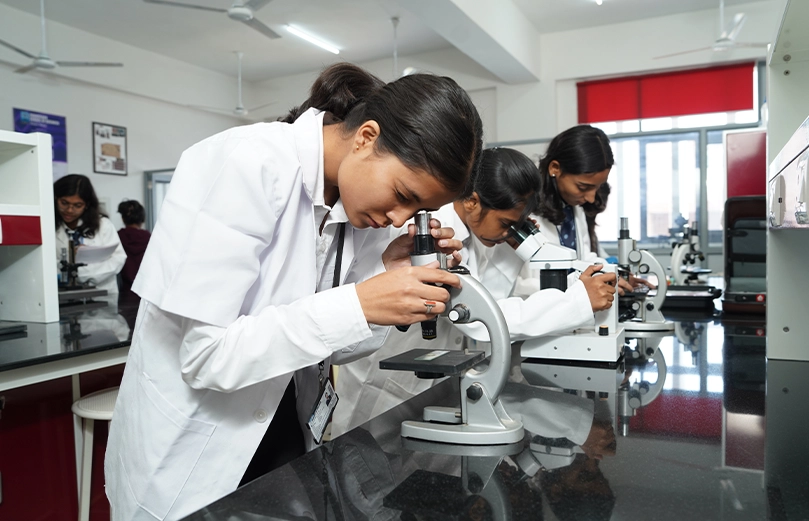 Mechanical Lab