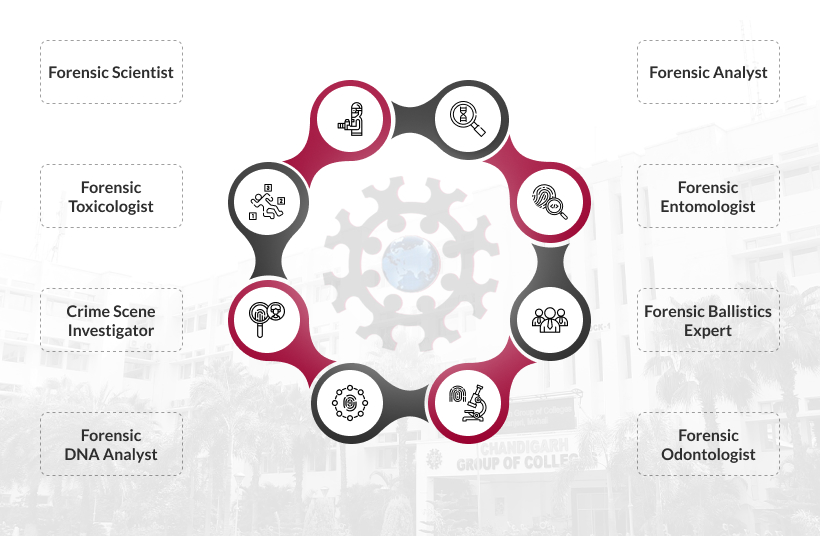 Career Prospects Mobile