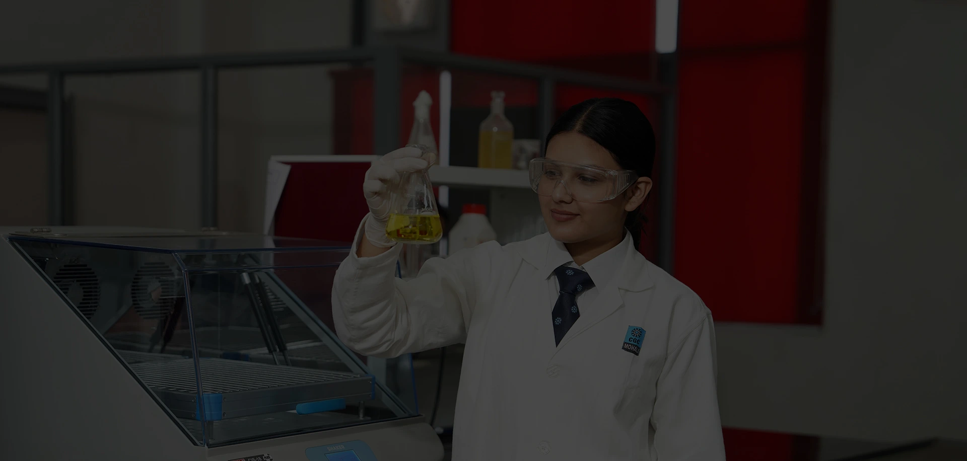 Step into Excellence