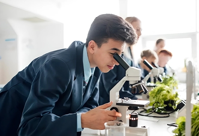 Step into Excellence