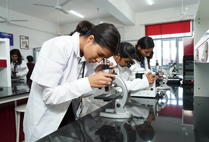 Step into Excellence