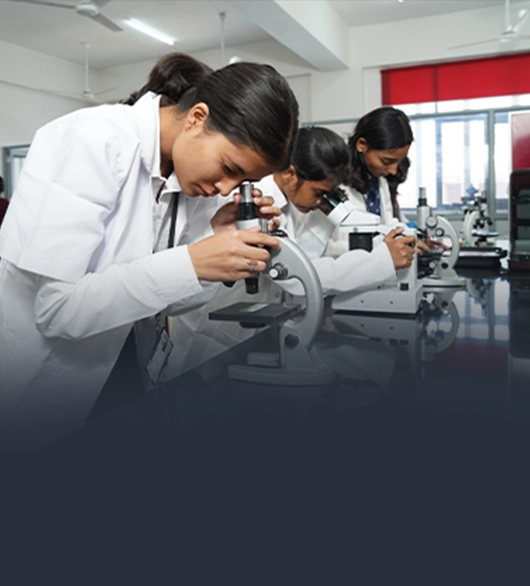 Skill Enhancement Workshops