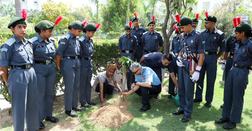 NSS Plantation Image